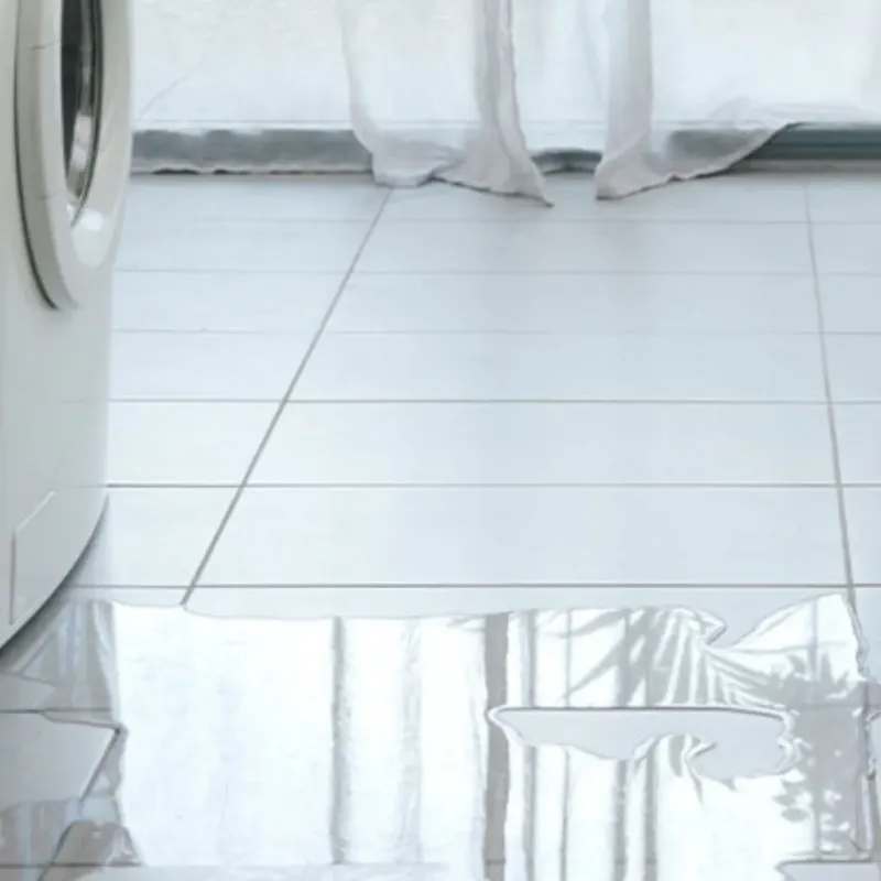 Appliance Leak Cleanup in Monroe, MI