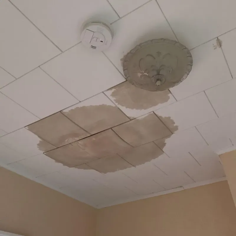 Ceiling Water Damage Repair in Monroe, MI