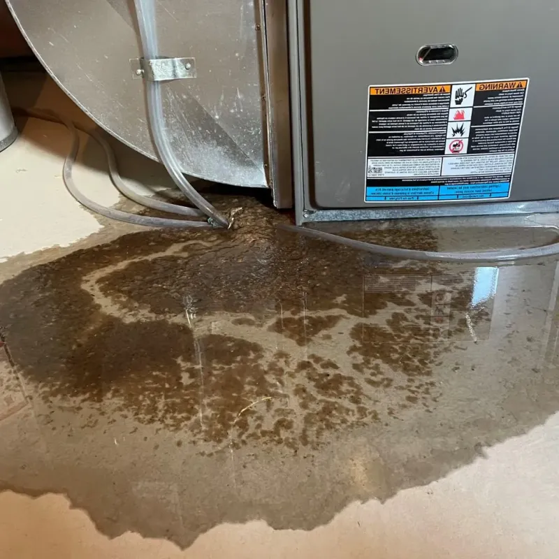 Pipe Burst and Leak Restoration in Monroe, MI