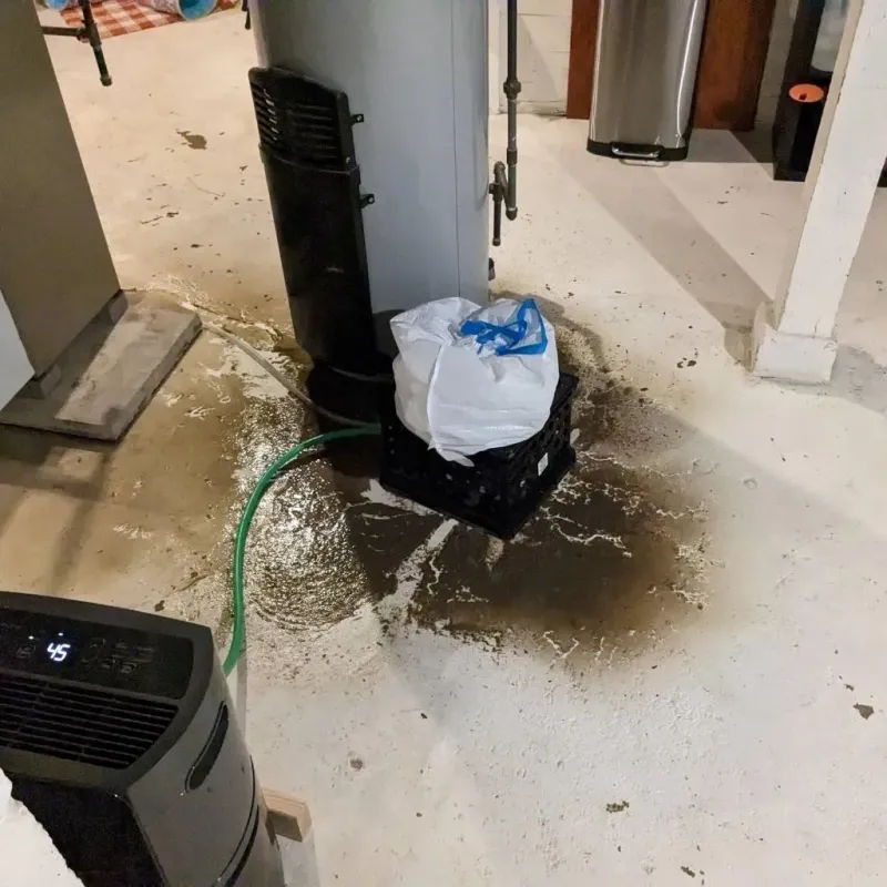 Sewage Backup Cleanup Service in Monroe, MI